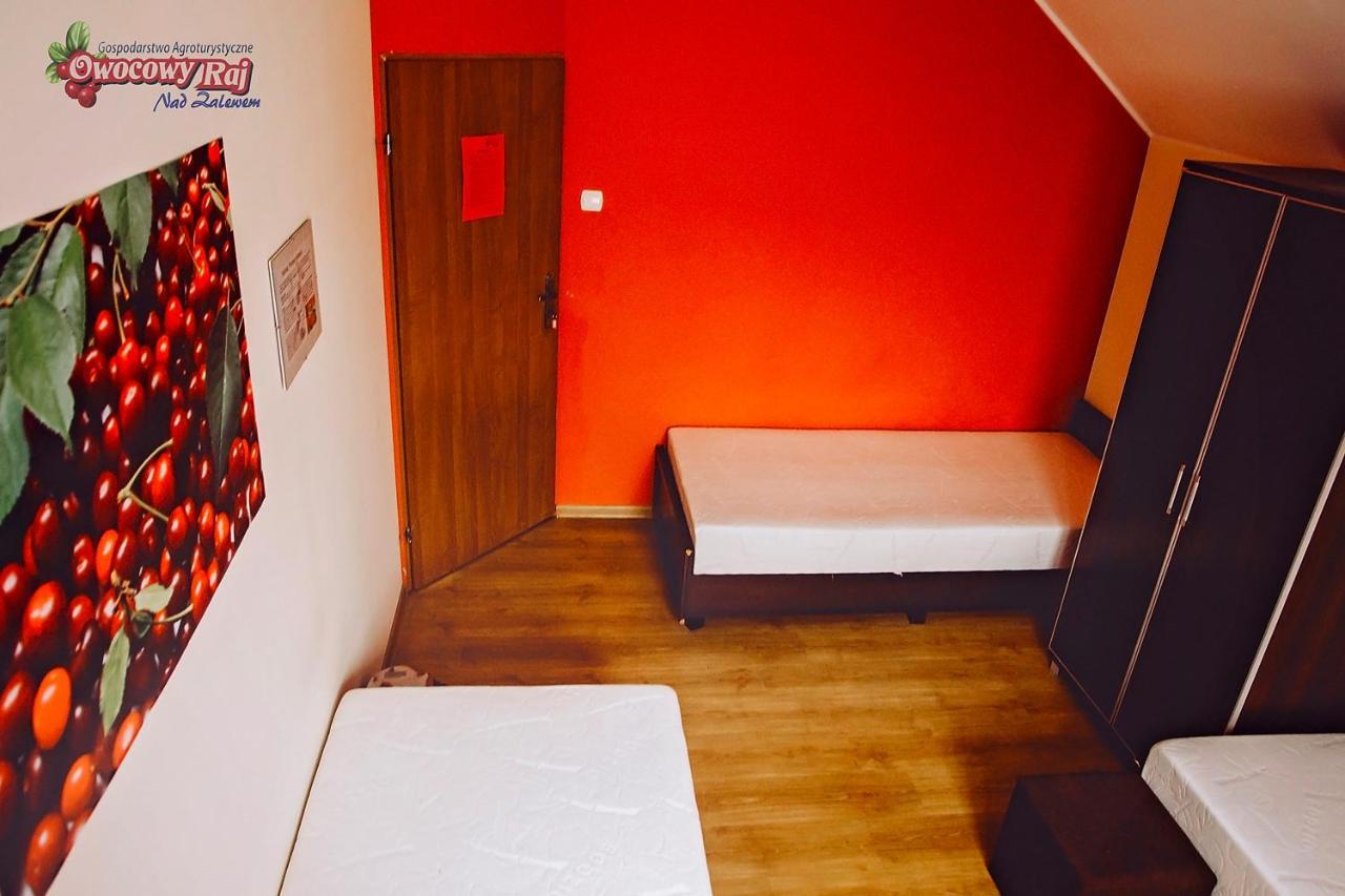 Owocowy Raj Nad Zalewem Villa Modla Krolewska Dış mekan fotoğraf