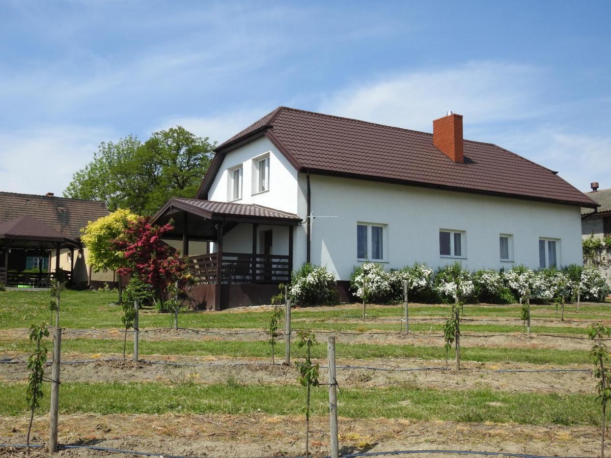 Owocowy Raj Nad Zalewem Villa Modla Krolewska Dış mekan fotoğraf