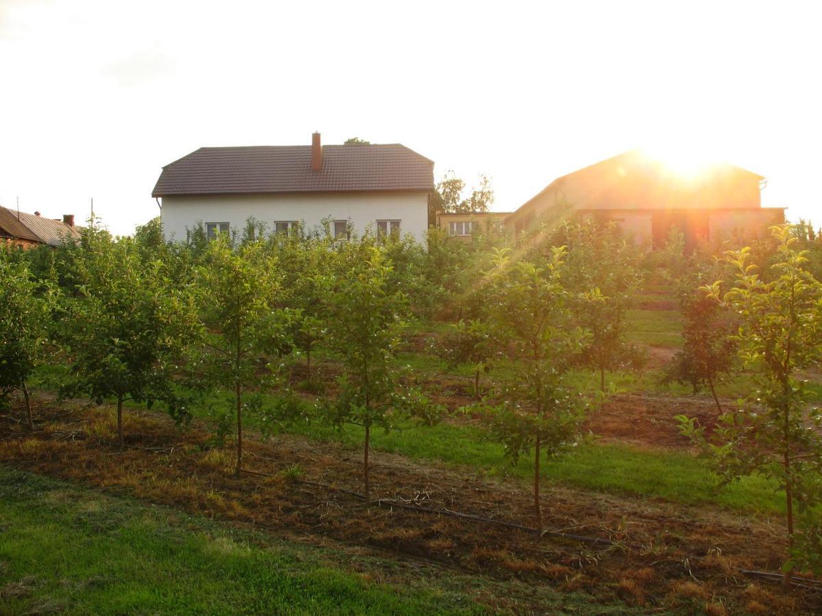 Owocowy Raj Nad Zalewem Villa Modla Krolewska Dış mekan fotoğraf